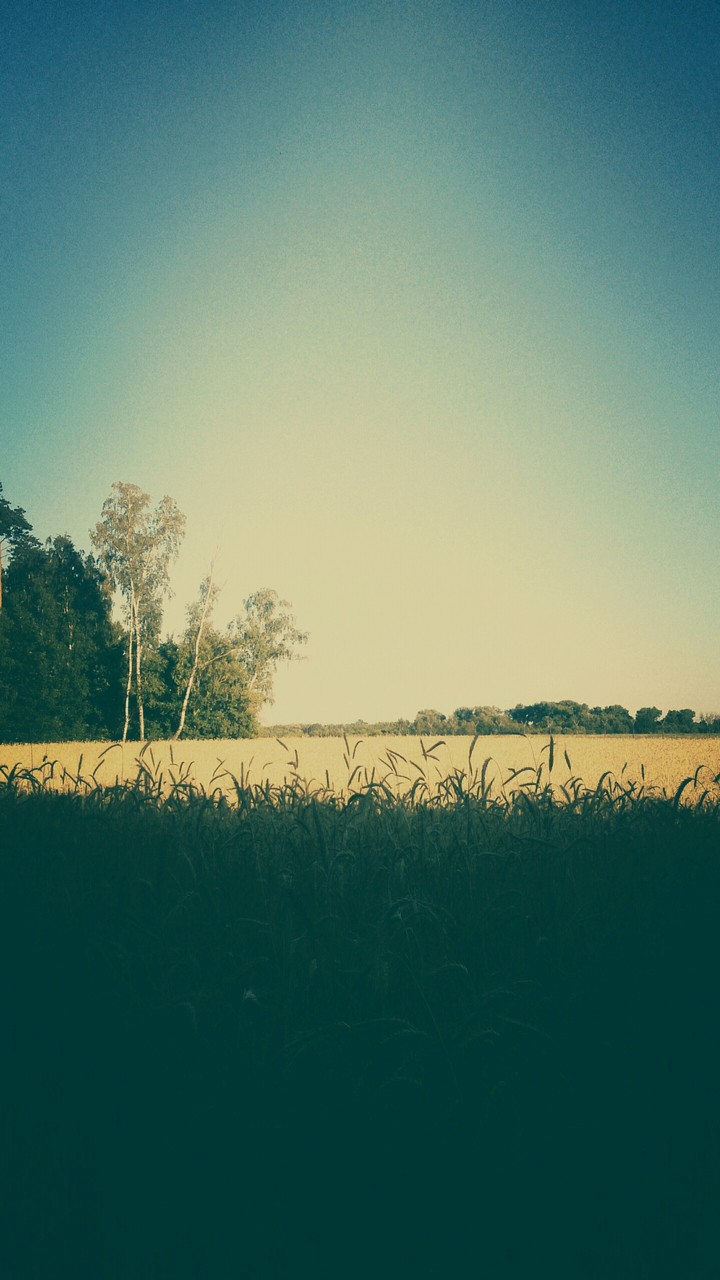 summer time