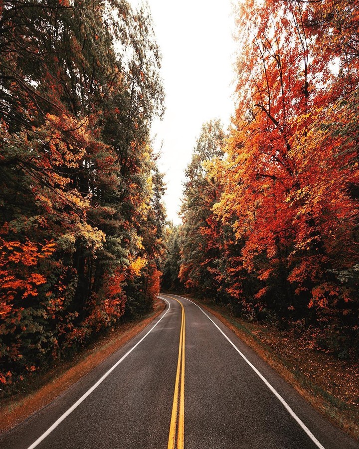 Autumn