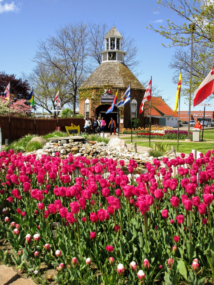 Dutch Village# Tulip, MI