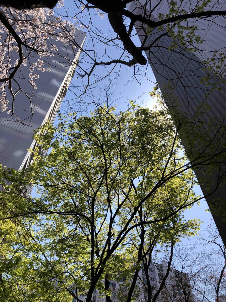 SPRING