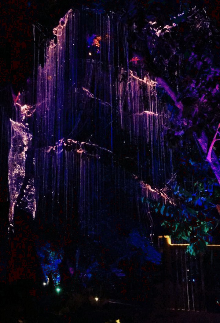 purple part 2