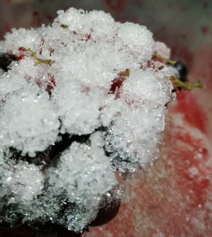 ice
