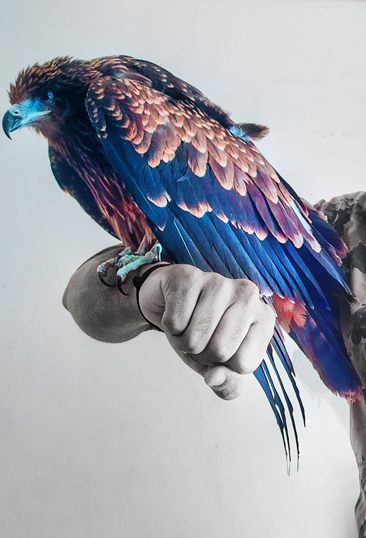 Eagle On my arm