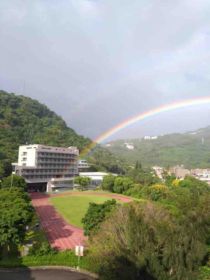 my school