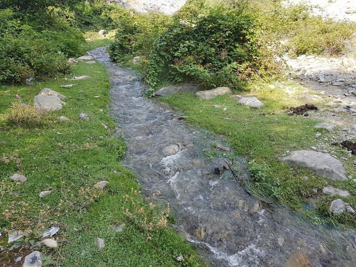 Sheki