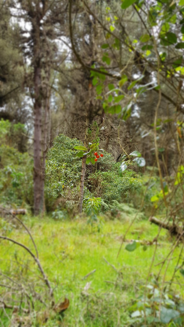?