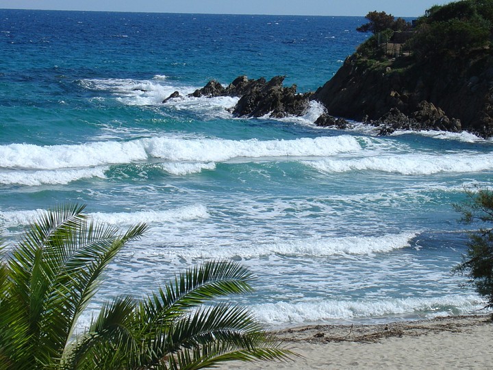 corse