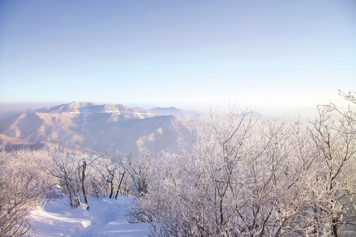 겨울의전경