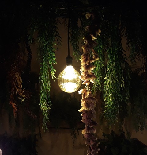 Luz