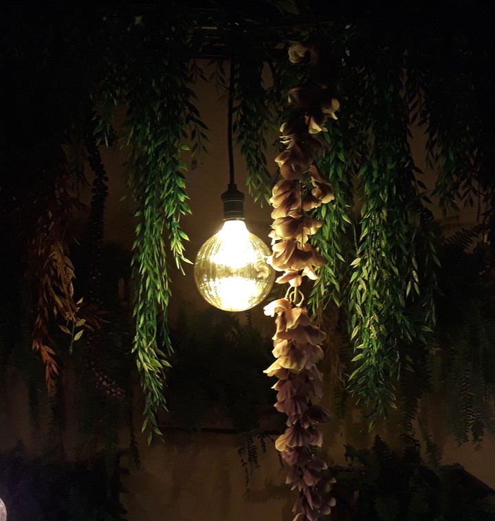Luz