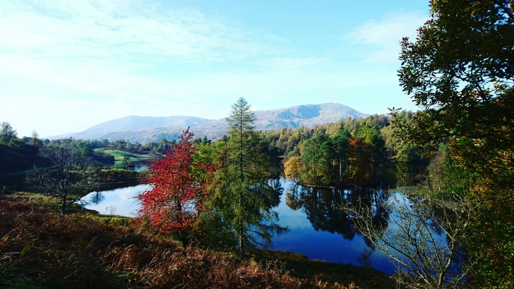 Beautiful walk at Tarn Hows, Lake District Cumbria