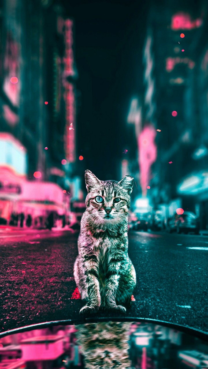 ну как вам