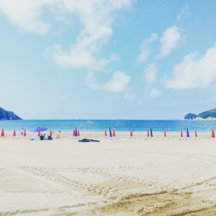 송정해안변