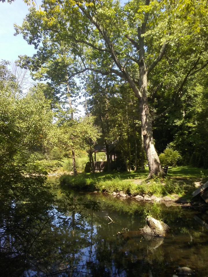 park green