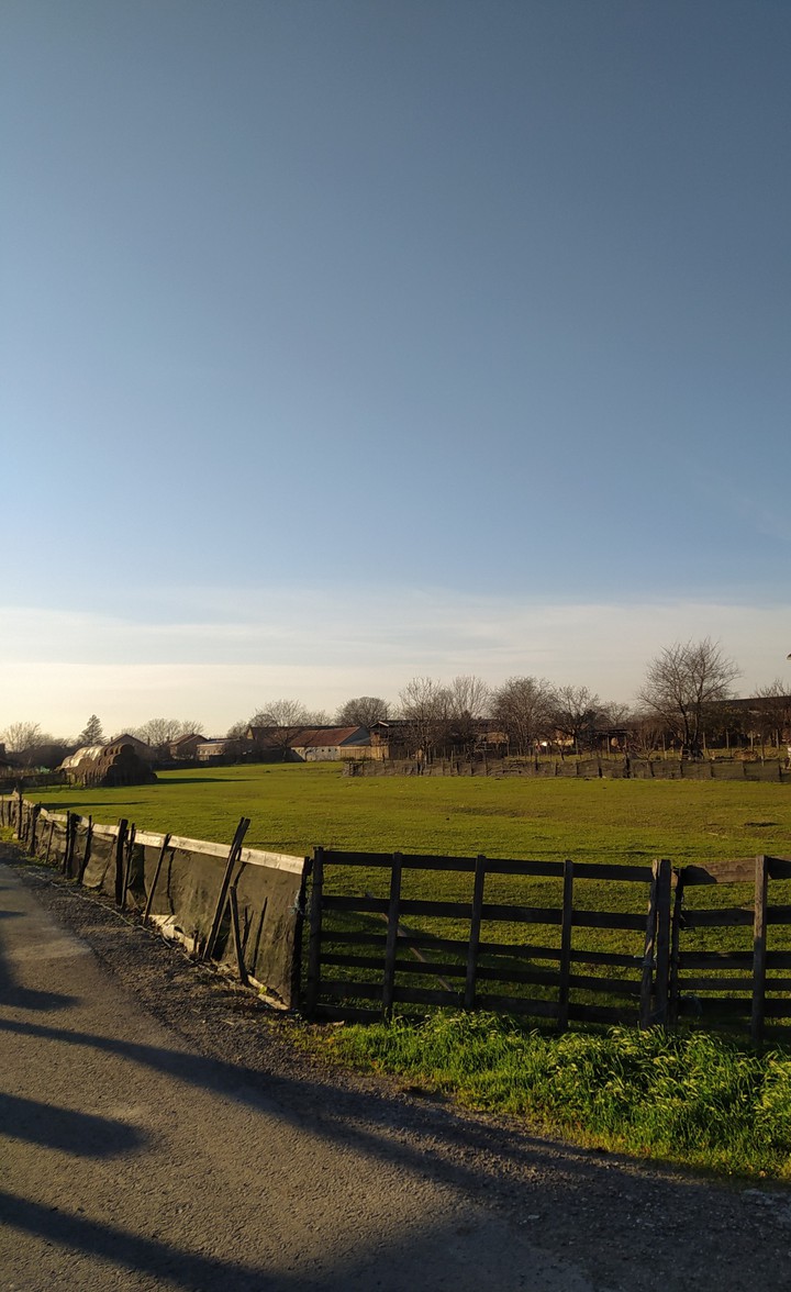 Country side