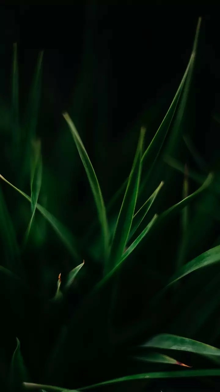 nature