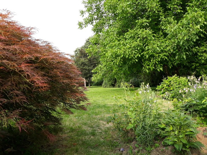 Parcul Circului