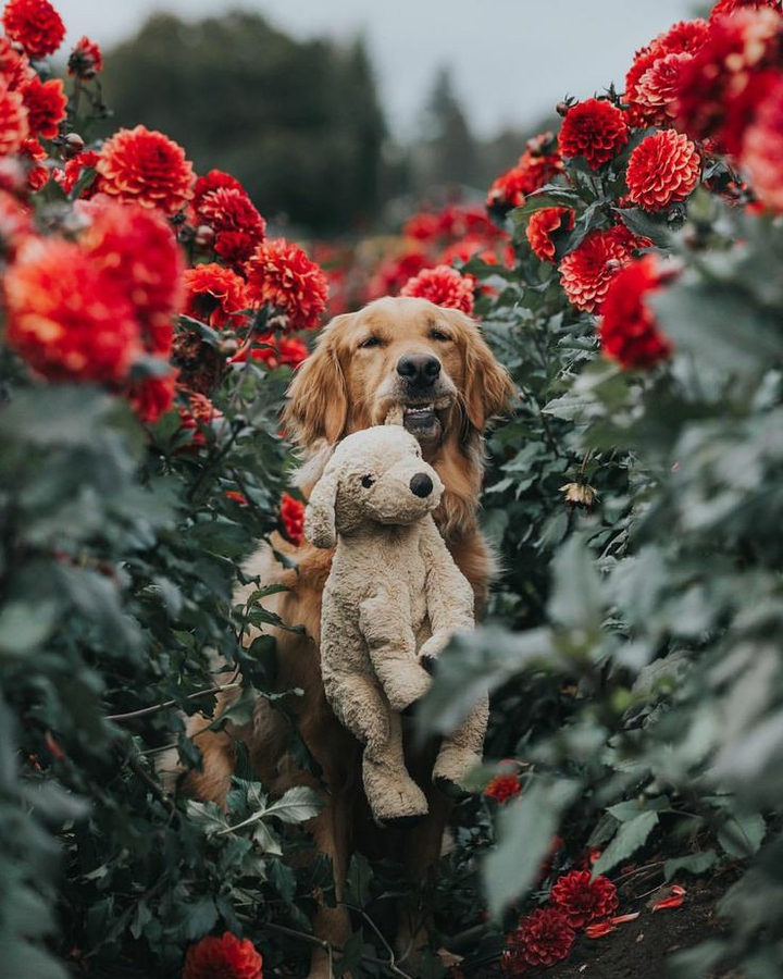 Happy Valentine's day