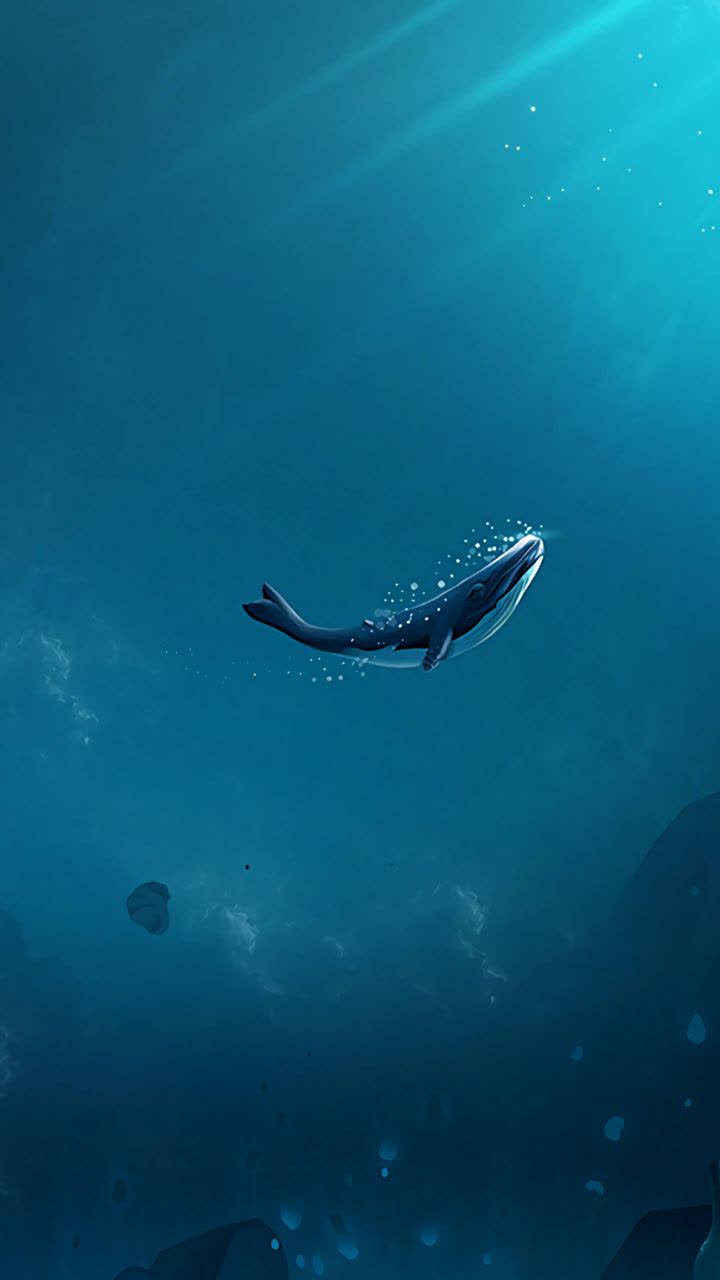 Whale