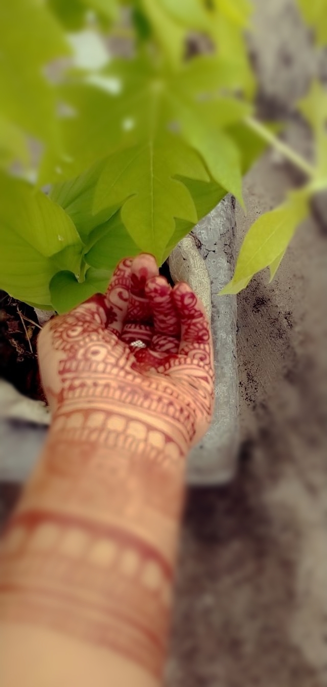 nature photography