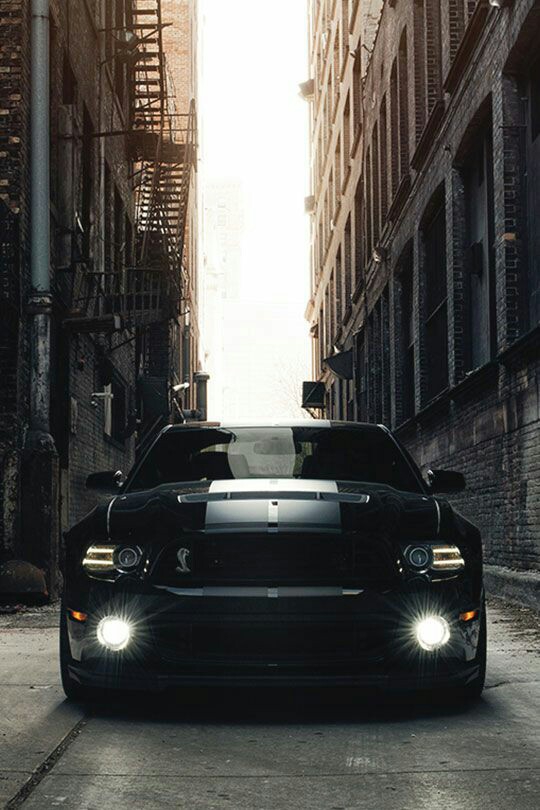 Mustang