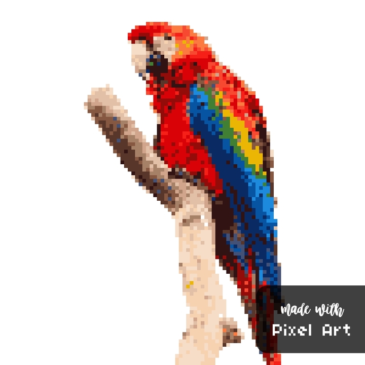 Parrot