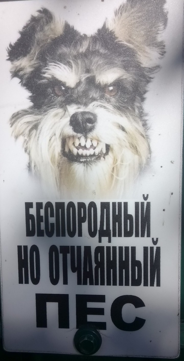 Забавная табличка с собачкой