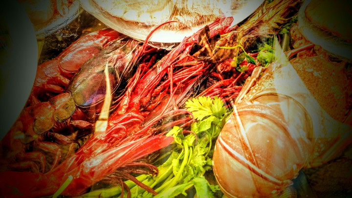 seafood