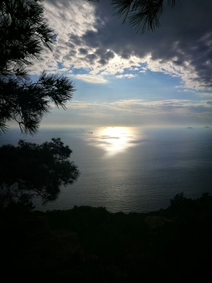 Island Picture