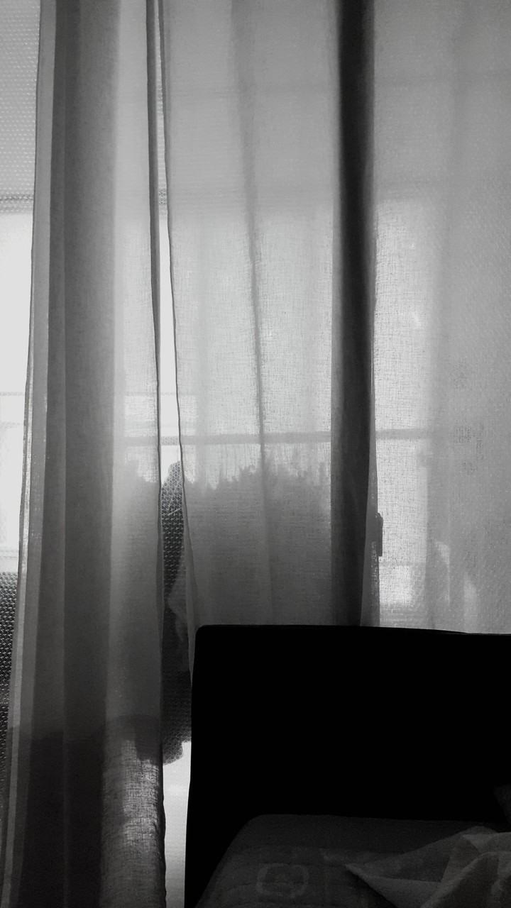 Shadow