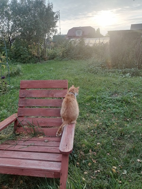 Без названия