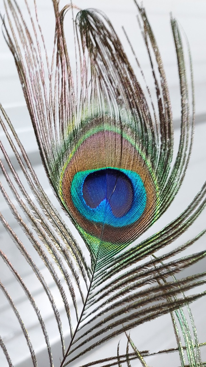 Nature photography...