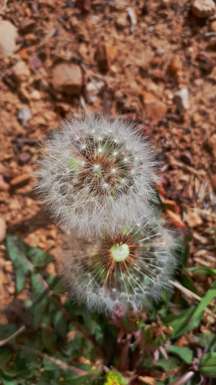 photo by me