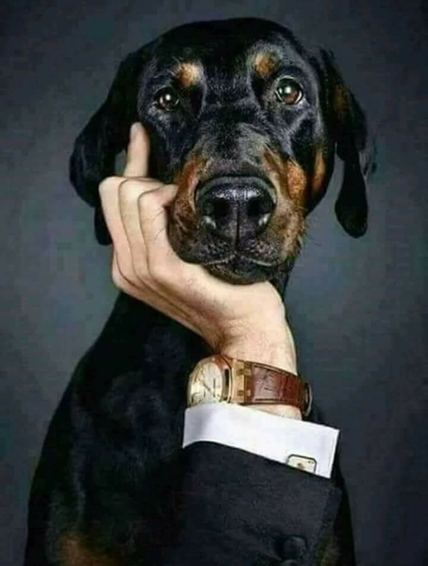 думаю