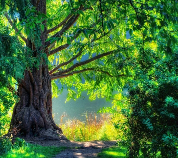 natural green 