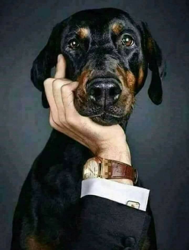 думаю