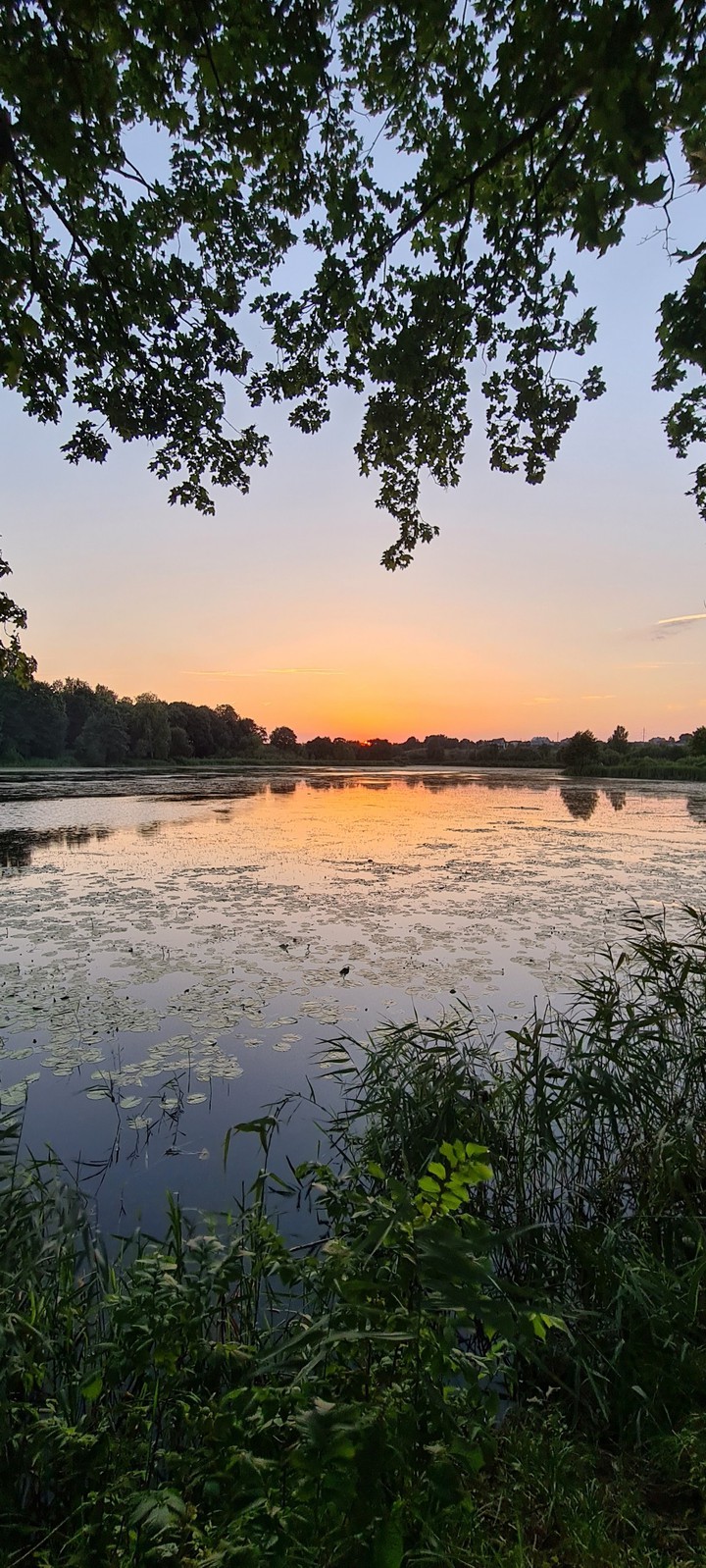 Lake