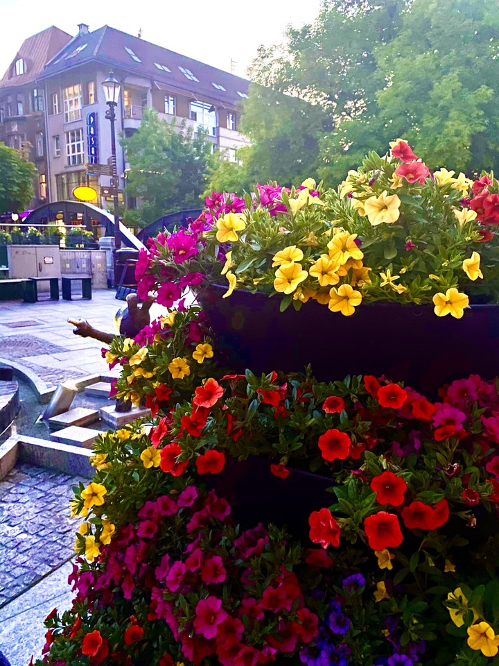 Flowers