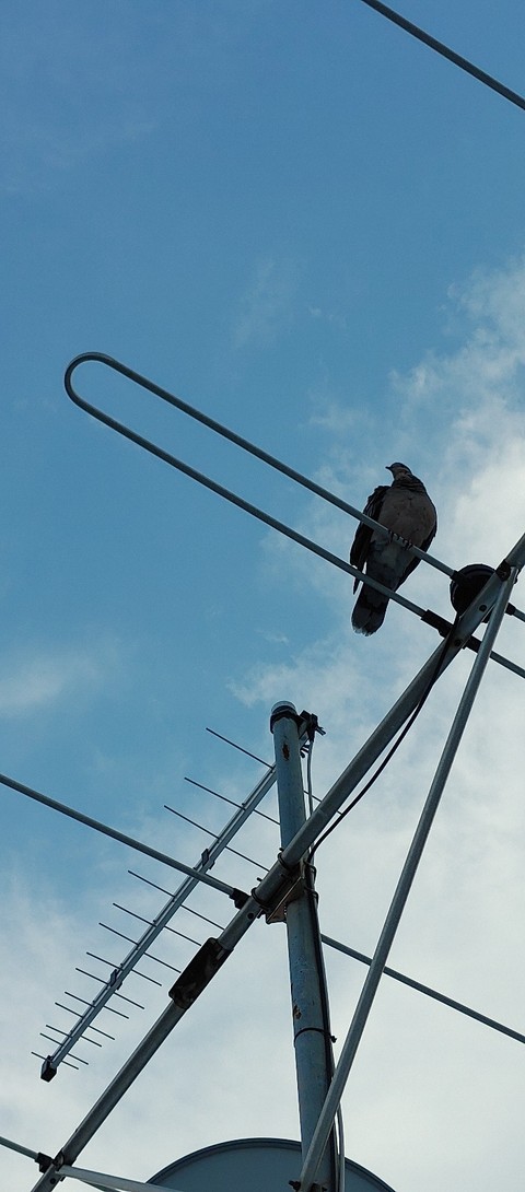 Wire, electricity桌布