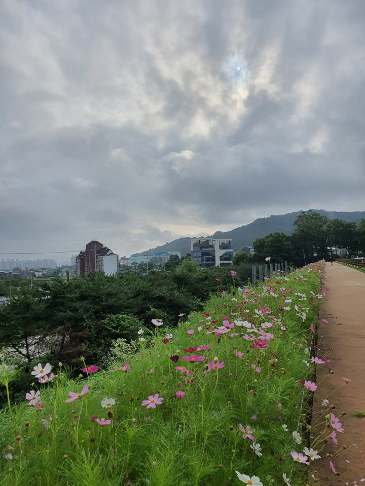산책길