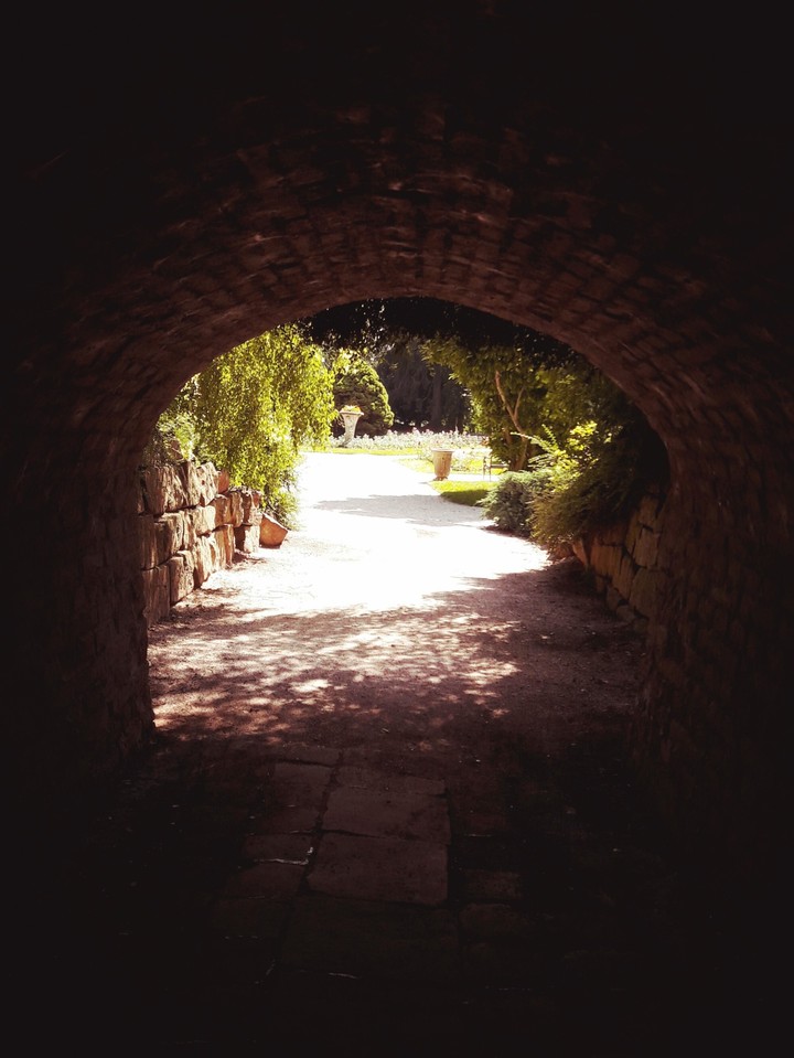 The way to the light