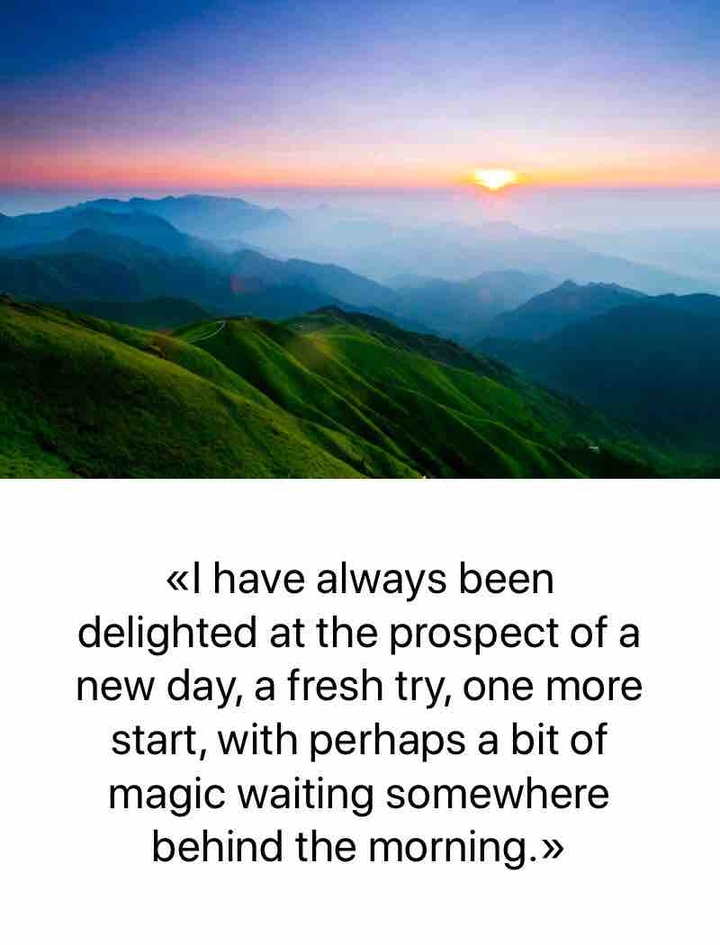 ᴅᴇʟɪɢʜᴛᴇᴅ