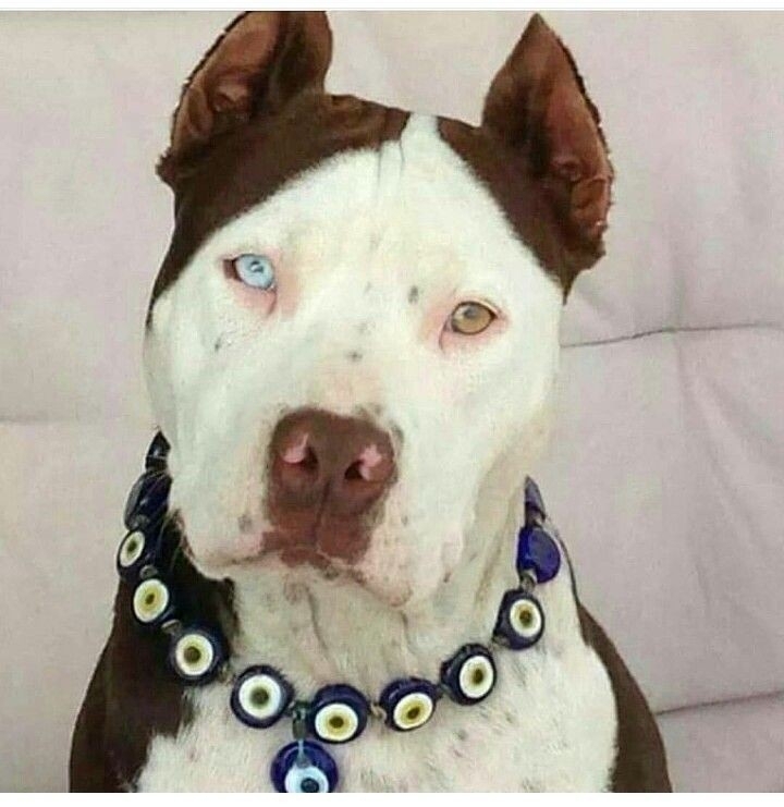 ♥️♥️♥️