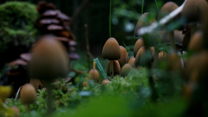 Landschafts fotografie
