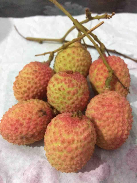 fruit