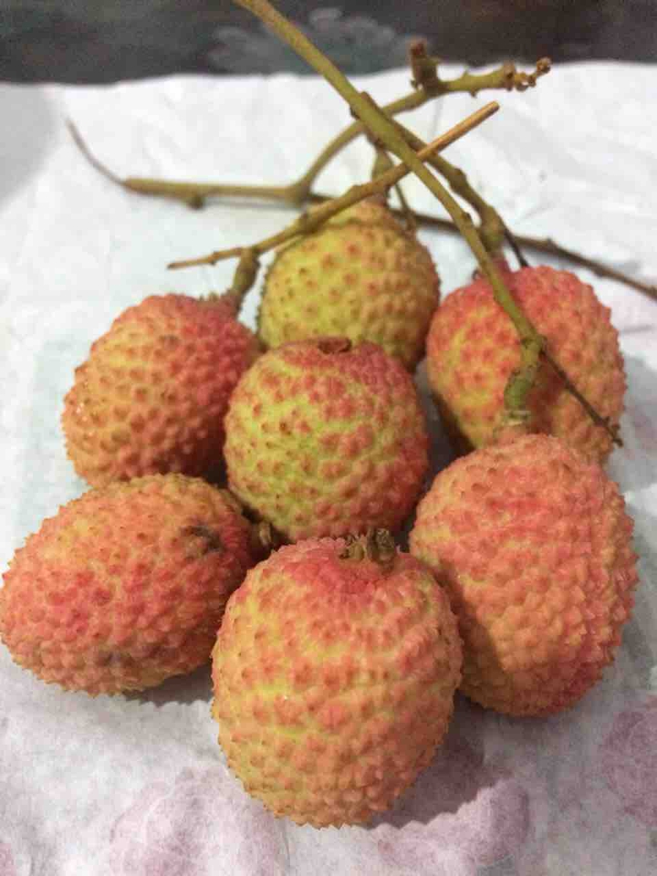 fruit