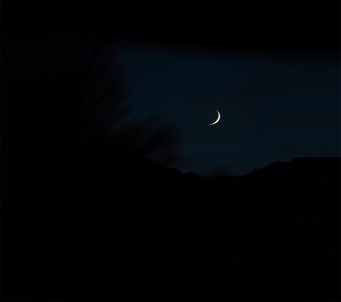 night