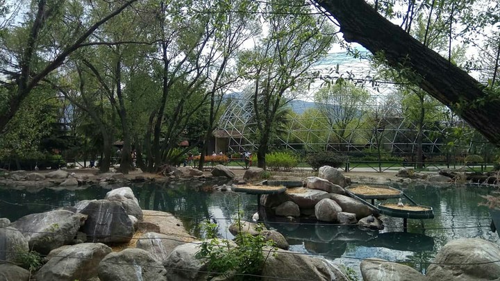 Bursa