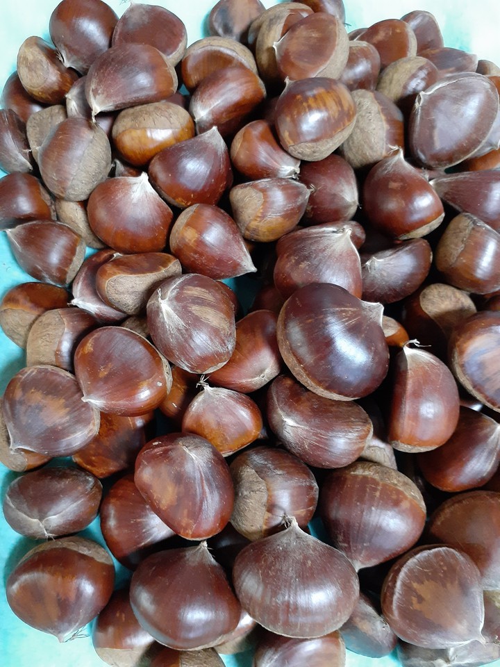 hạt dẻ