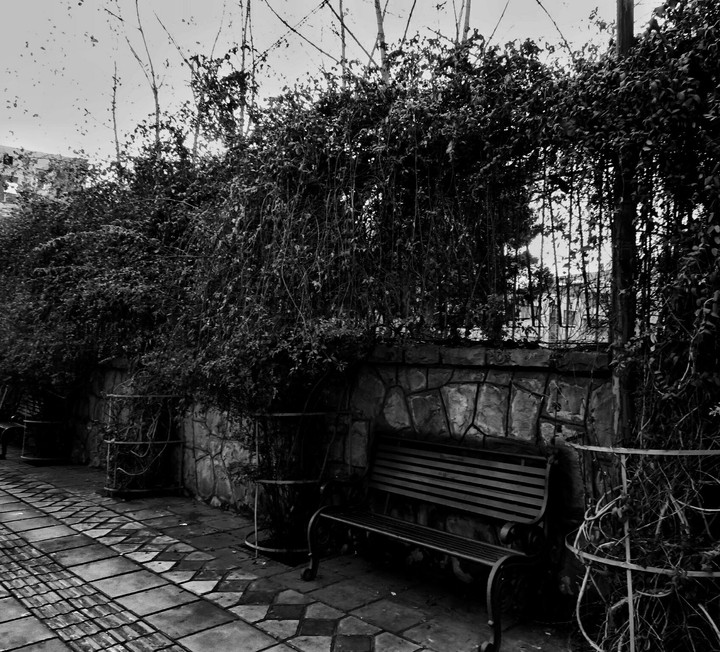 Solitude
